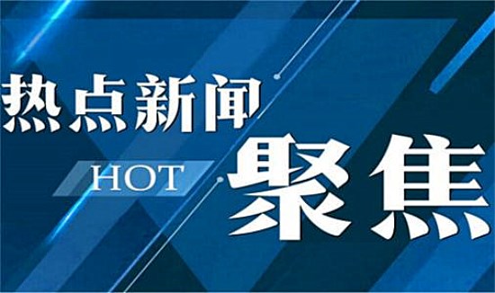 澳门精准四肖期期免费与警惕虚假宣传-全面释义、解释与落实